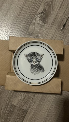 Chessie kitten railroad - kitten,
